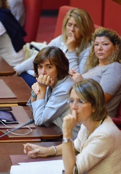 Genova - consiglio comunale - audizione per vicenda istituto Bri