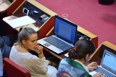 Genova - consiglio comunale - audizione per vicenda istituto Bri