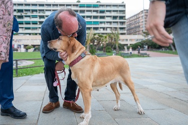 Genova, piazza Rossetti - passeggiata elettorale con cane per Ar