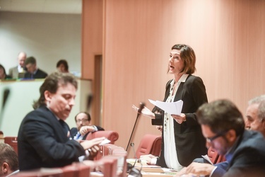 consiglio regionale 102015-2483