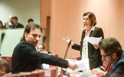 consiglio regionale 102015-2485