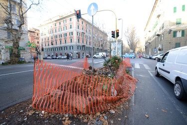 Genova, corso Torino - i residenti lamentano degrado aiuole