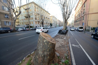 Genova, corso Torino - i residenti lamentano degrado aiuole