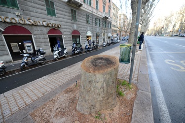 Genova, corso Torino - i residenti lamentano degrado aiuole