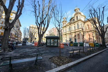 alberi piazza alimonda