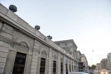DG290915 DSC5890