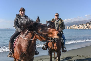 cavalli spiaggia Pegli 29012017