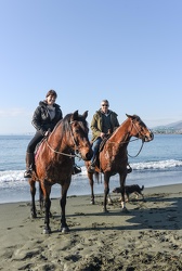 cavalli spiaggia Pegli 012017-8465