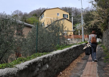 Genova - quartiere di Quezzi