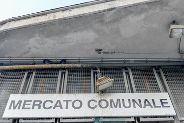 150928 piccioni mercato terralba