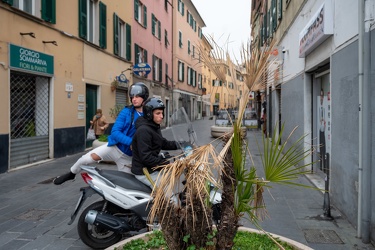 Genova, viaggio a ponente - SESTRI PONENTE