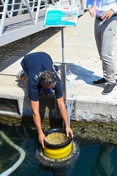 Genova, Sestri Ponente - marina aeroporto - installato nuovo bid