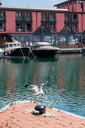 Genova, porto antico darsena - palazzi Metellino e Tabarca