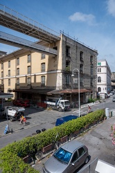 palazzi metellino tabarca Ge08062022