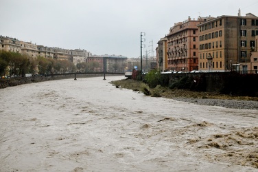 alluvione via ferreggiano