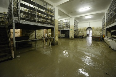 Genova - alluvione 2014 - la prima domenica dopo l'esondazione