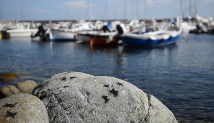 Marciana Marina - isola D'Elba - installazione artista Riccardo 