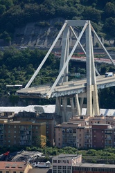 Genova - la situazione a otto giorni dal crollo di Ponte Morandi