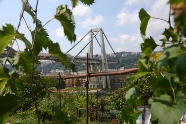 Genova, Certosa - dieci giorni dal crollo di Ponte Morandi