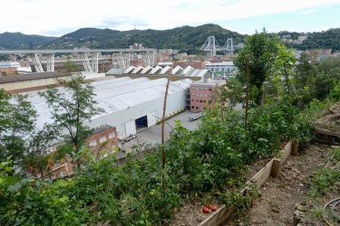 Genova - i monconi di Ponte Morandi 