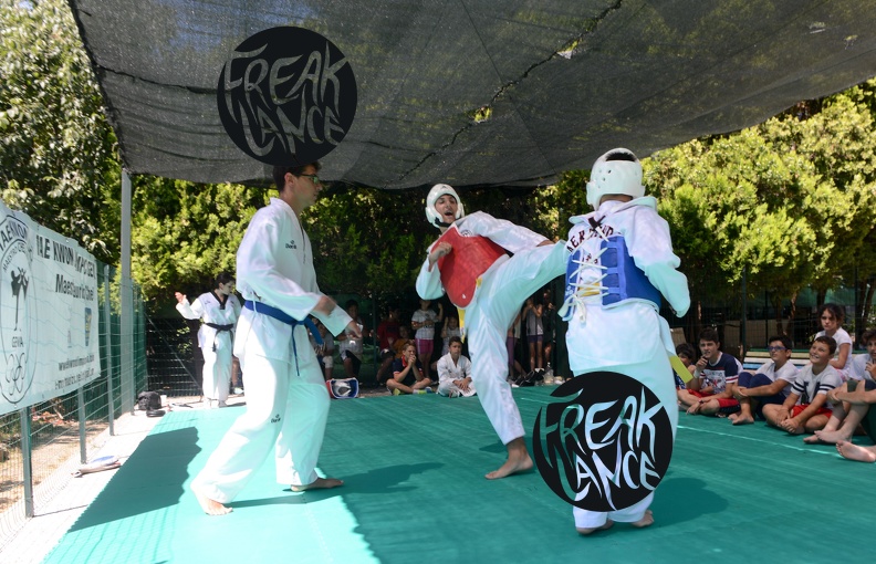 Maurizio_cheli_Taekwondo_072014-6.jpg