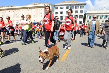 Genova - la corsa stragenova 2016