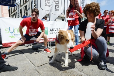 Genova - la corsa stragenova 2016