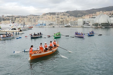 Genova - palio remiero al porto antico