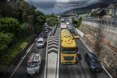 traffico Ge2020